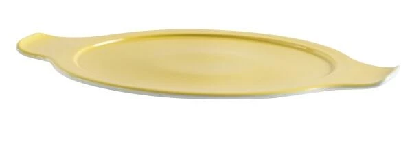 Eschenbach Topf Mit Deckel Cook & Serve In Hellgelb 20 Cm / 2 Liter 4 Eschenbach Topf Mit Deckel Cook & Serve In Hellgelb 20 Cm / 2 Liter – Bild 2