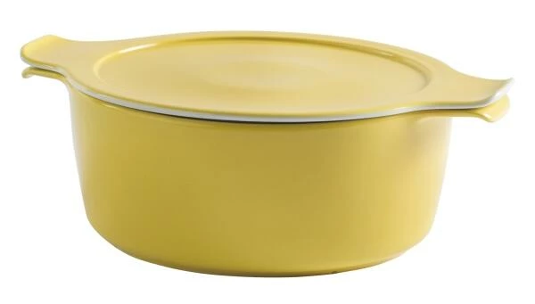 Eschenbach Topf Mit Deckel Cook & Serve In Hellgelb 20 Cm / 2 Liter 3 Eschenbach Topf Mit Deckel Cook & Serve In Hellgelb 20 Cm / 2 Liter