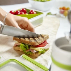 Emsa Sandwichbox Clip & Go 5 Emsa Sandwichbox Clip & Go -Mepal Shop Emsa Clip Go Sandwichbox 449296 neu l